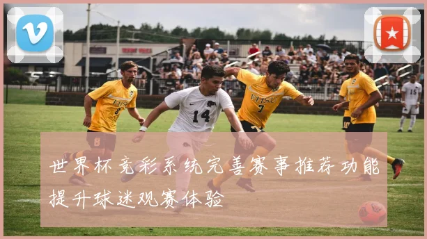 世界杯竞彩系统完善赛事推荐功能提升球迷观赛体验