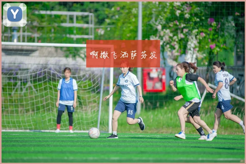 OW世界杯终极观赛指南：赛程、战队与精彩看点
