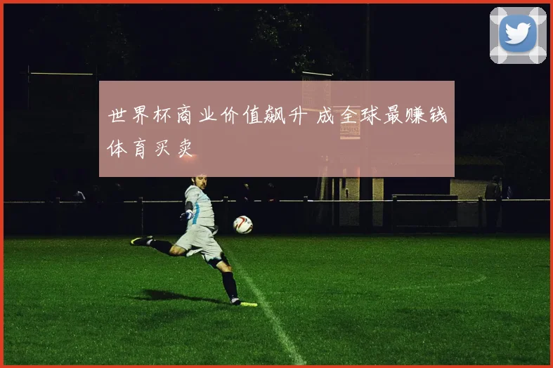 世界杯商业价值飙升 成全球最赚钱体育买卖